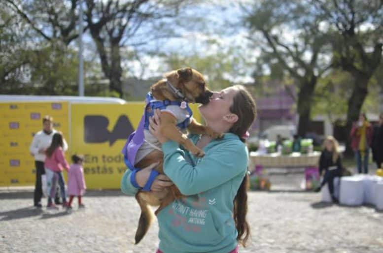 Adopción de mascotas.